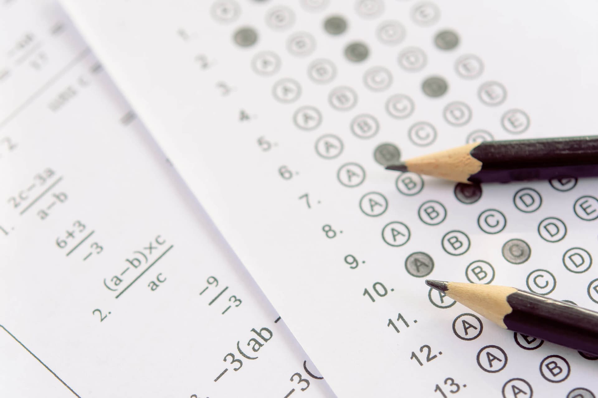 Students using PaperScorer assessments